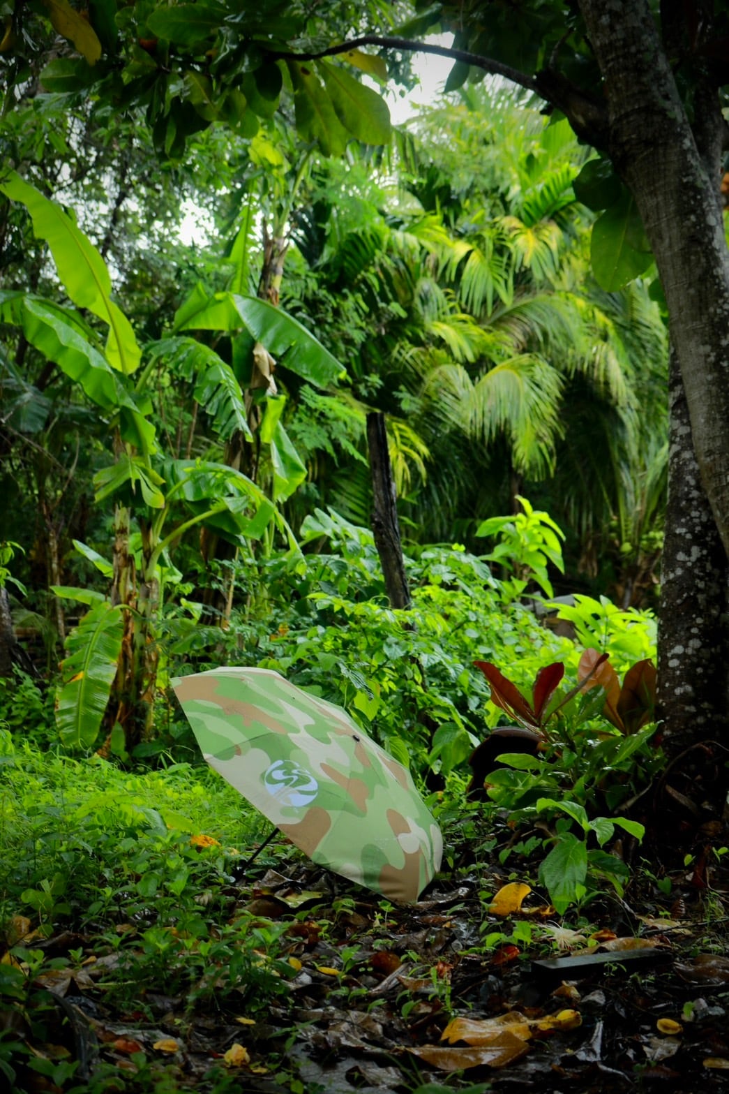 Epoch Umbrella - 画像 (3)